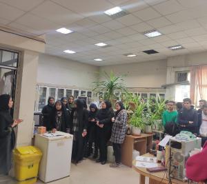 Набросок
